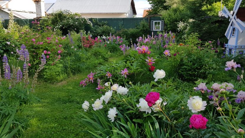  - 2019 Mai Idilic Garden