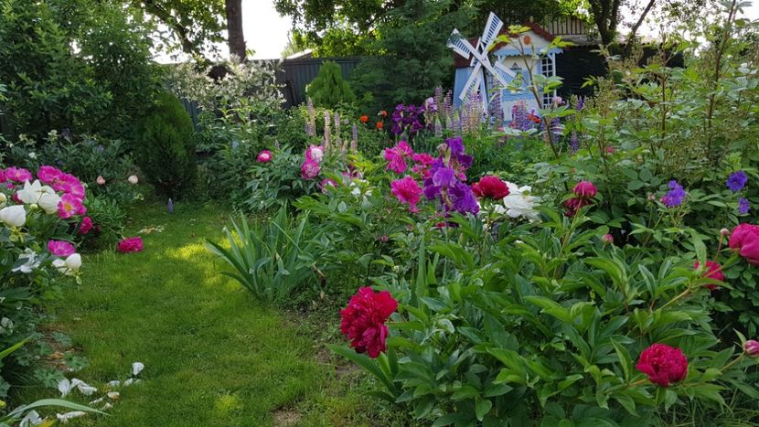  - 2019 Mai Idilic Garden