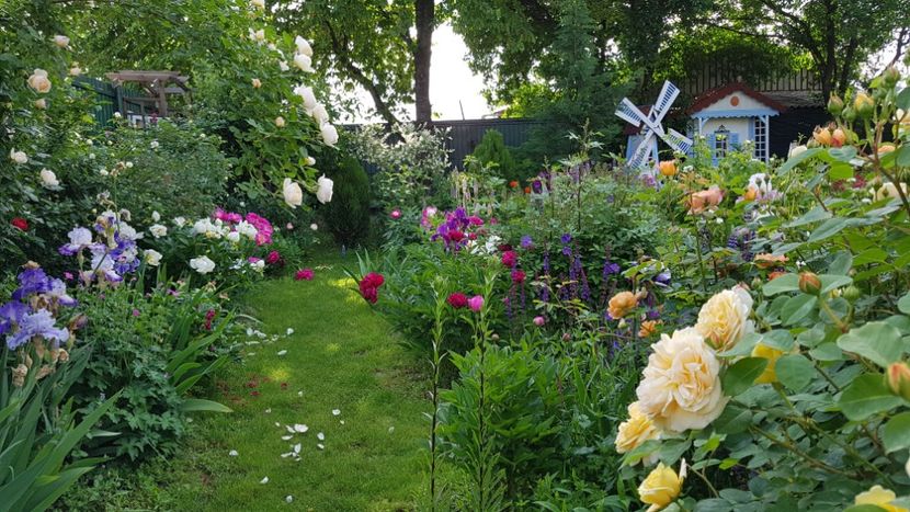  - 2019 Mai Idilic Garden