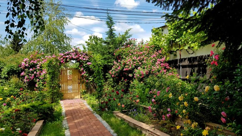  - 2019 Gradina Rozelor
