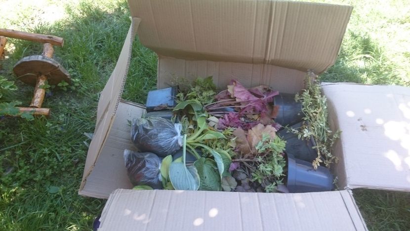  - Achizitii Dianadia 2019