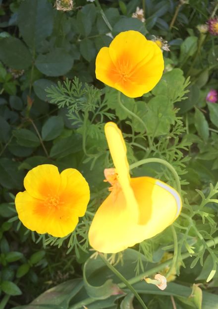 5B8EFE0A-D75C-4466-AFE0-B2841982B2A2 - Mai 2019