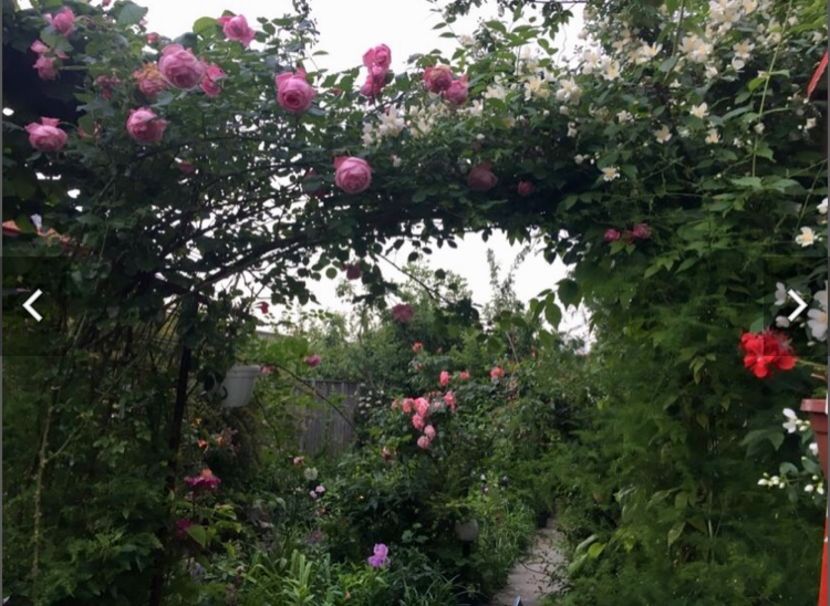 A46E6B2A-4DFF-4A7B-A430-034CA58FF82A - Mai 2019