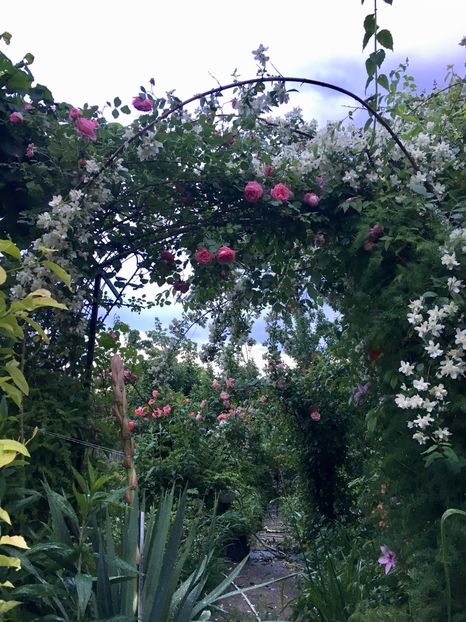 73599437-B21F-4373-8C47-3728078341F6 - Mai 2019