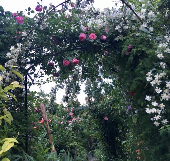 598B7FCE-FF22-4BFE-92C0-061E4B90B970 - Mai 2019