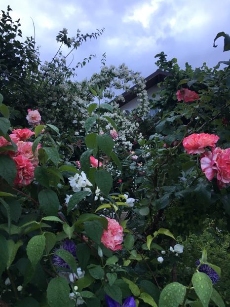 DD63297E-74E7-4541-86C6-66A774E3FB24 - Mai 2019