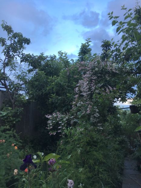 662DE8EB-5895-48D9-B82B-414E6898F416 - Mai 2019