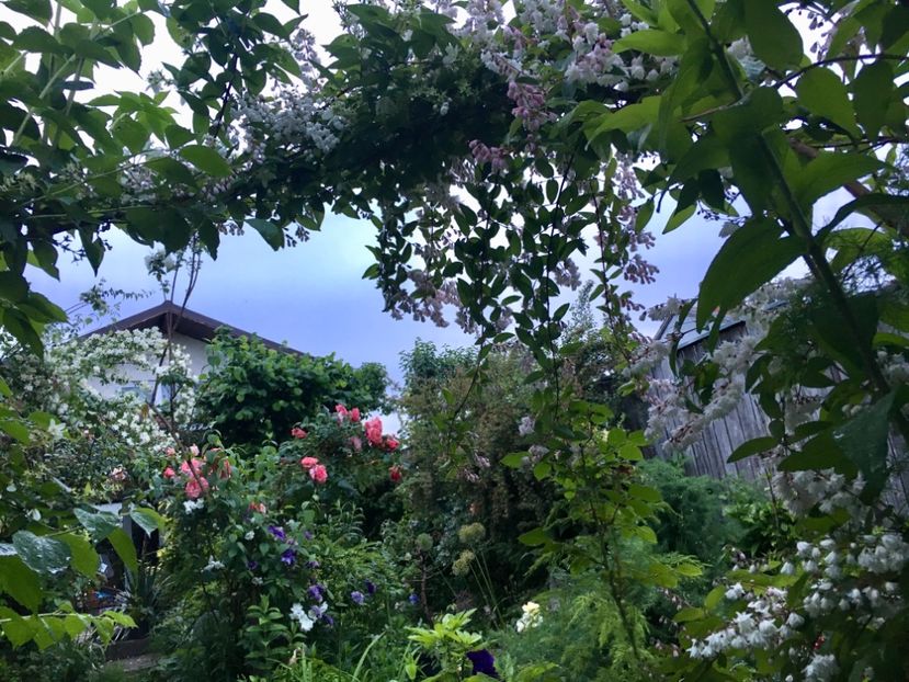 A06D6633-6808-405A-95DB-33B57BCFDD71 - Mai 2019