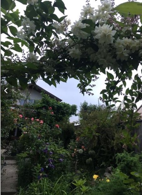 D0034338-A2C2-4D12-997D-44EE287BE1F9 - Mai 2019