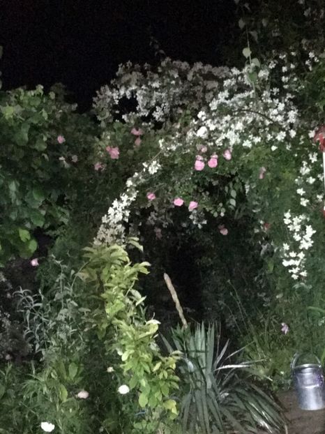 A1798CC5-BEC6-431D-80E1-F8F76A5FA754 - Mai 2019