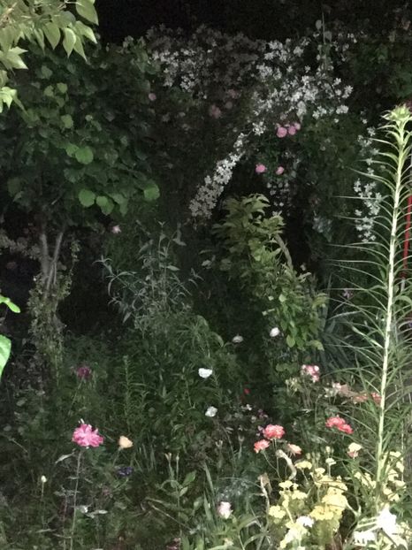 A86FC4A1-B06F-41AD-8A48-83DD4333B74D - Mai 2019