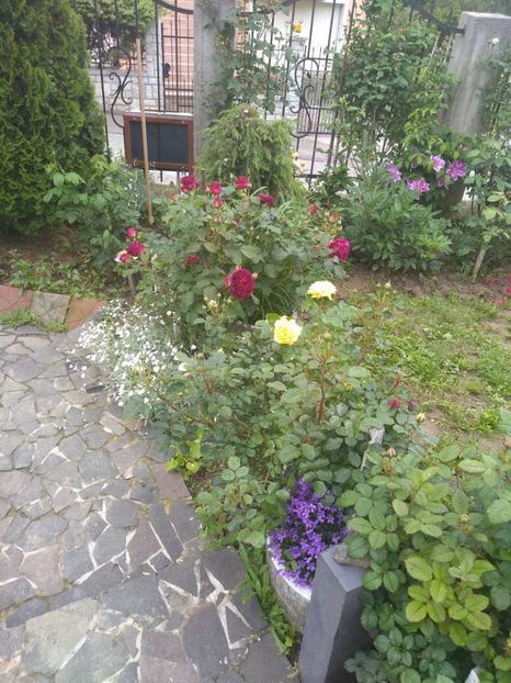  - Gradina mai 2019