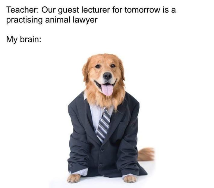  - it s just a game we do