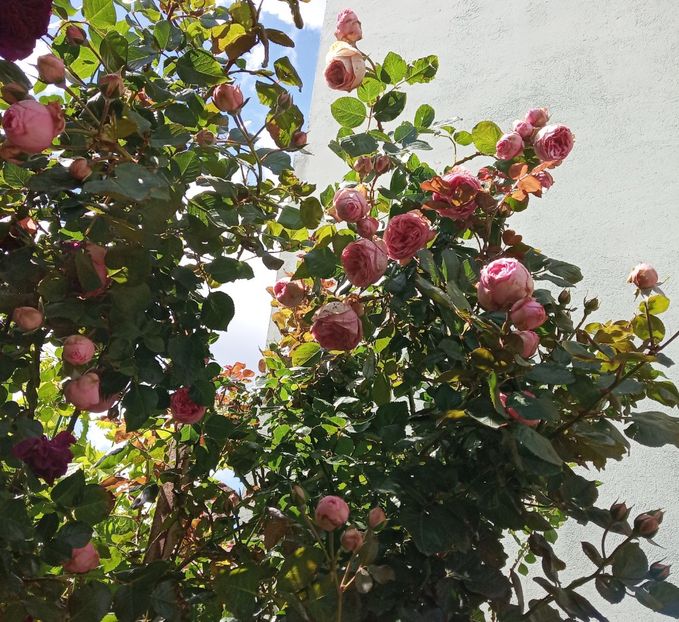 Mai 2019 - Happy Piano