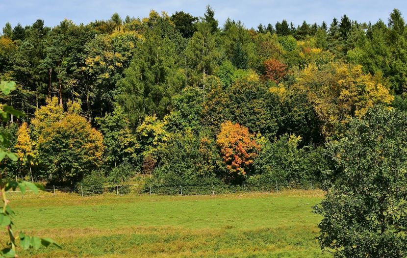 Montaj fototapet Bucuresti, ablo.ro (8) - Fototapet poze mari pentru printat ablo ro Partea I