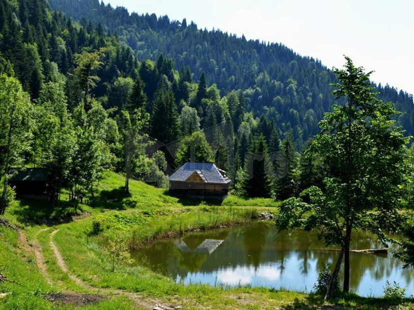Montaj fototapet Bucuresti, ablo.ro (16) - Fototapet poze mari pentru printat ablo ro Partea I