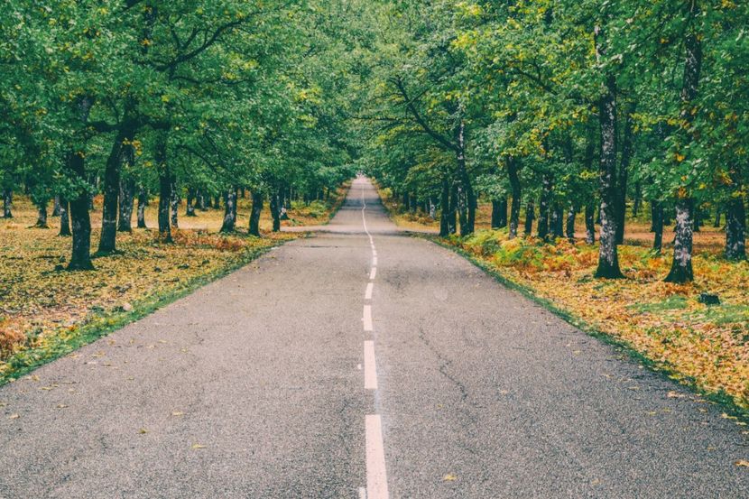 Montaj fototapet Bucuresti, ablo.ro (18) - Fototapet poze mari pentru printat ablo ro Partea I