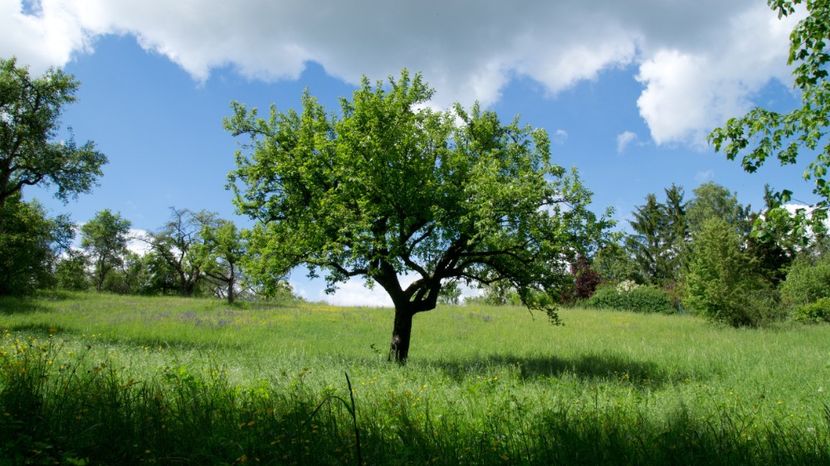 Montaj fototapet Bucuresti, ablo.ro (25) - Fototapet poze mari pentru printat ablo ro Partea I