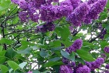 Montaj fototapet Bucuresti, ablo.ro (27) - Fototapet poze mari pentru printat ablo ro Partea I