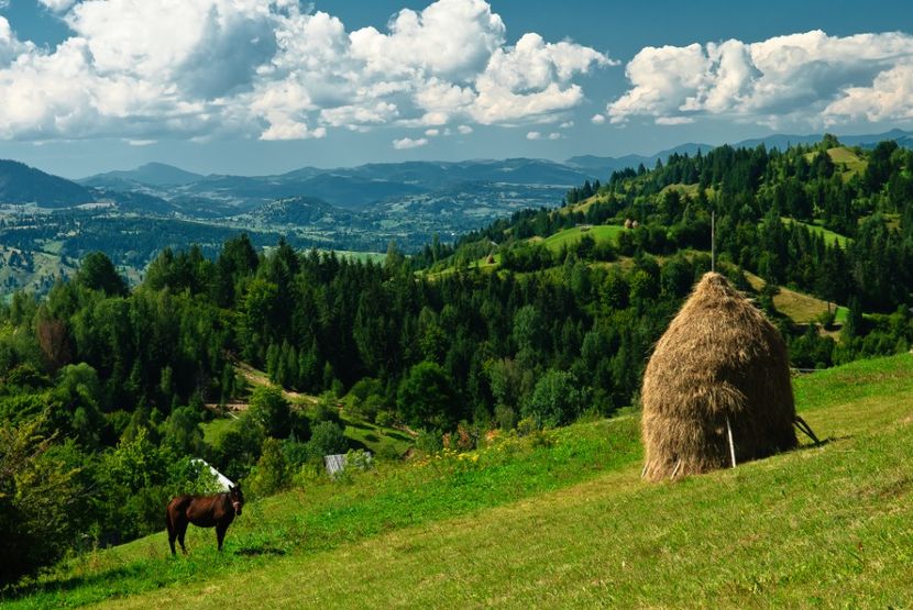 Montaj fototapet Bucuresti, ablo.ro (45) - Fototapet poze mari pentru printat ablo ro Partea I