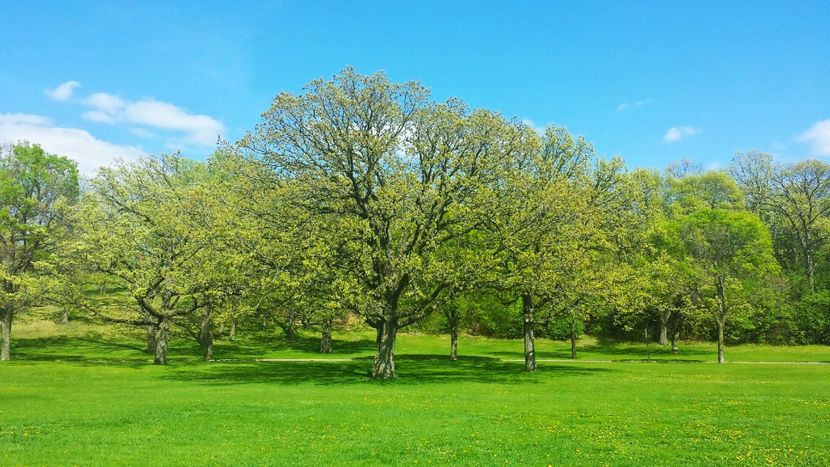 Montaj fototapet Bucuresti, ablo.ro (46) - Fototapet poze mari pentru printat ablo ro Partea I