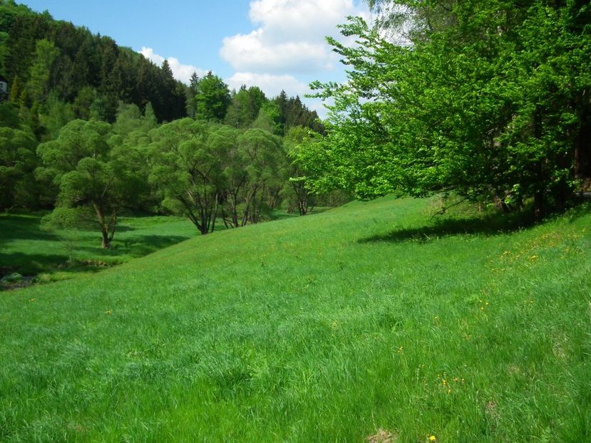 Montaj fototapet Bucuresti, ablo.ro (53) - Fototapet poze mari pentru printat ablo ro Partea I