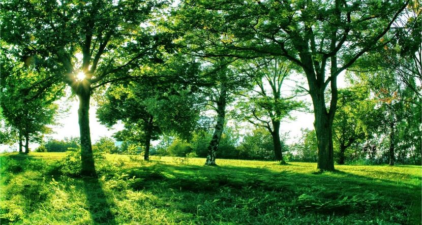 Montaj fototapet Bucuresti, ablo.ro (60) - Fototapet poze mari pentru printat ablo ro Partea I