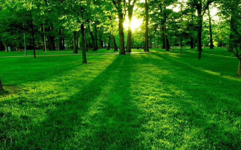 Montaj fototapet Bucuresti, ablo.ro (62) - Fototapet poze mari pentru printat ablo ro Partea I