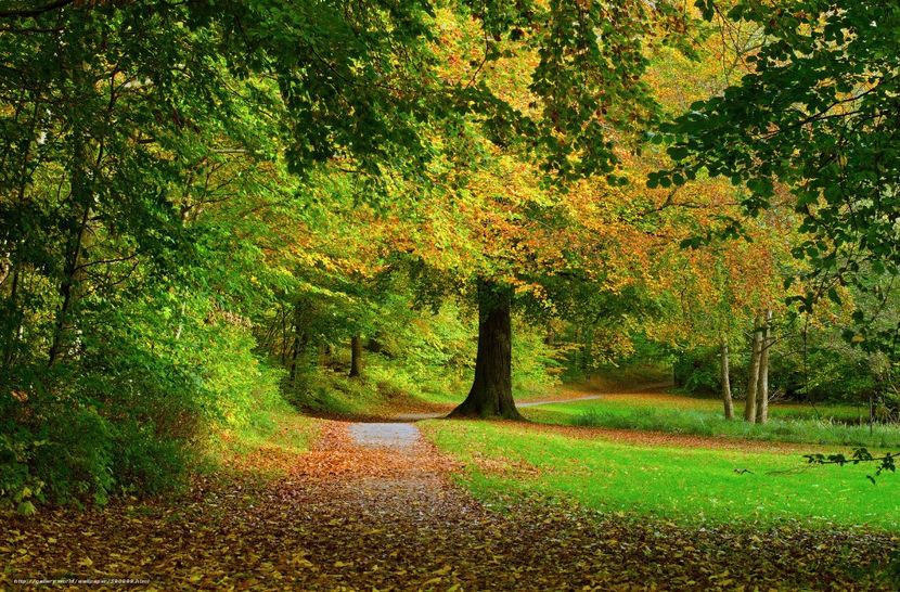 Montaj fototapet Bucuresti, ablo.ro (64) - Fototapet poze mari pentru printat ablo ro Partea I