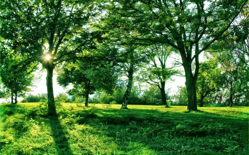 Montaj fototapet Bucuresti, ablo.ro (66) - Fototapet poze mari pentru printat ablo ro Partea I