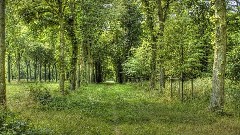 Montaj fototapet Bucuresti, ablo.ro (78) - Fototapet poze mari pentru printat ablo ro Partea I