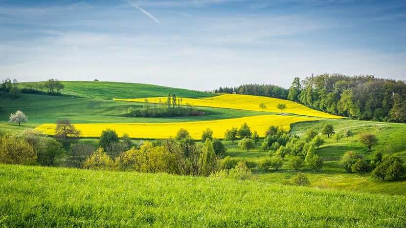 Montaj fototapet Bucuresti, ablo.ro (86) - Fototapet poze mari pentru printat ablo ro Partea I