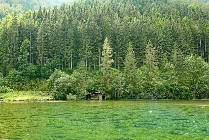 Montaj fototapet Bucuresti, ablo.ro (92) - Fototapet poze mari pentru printat ablo ro Partea I