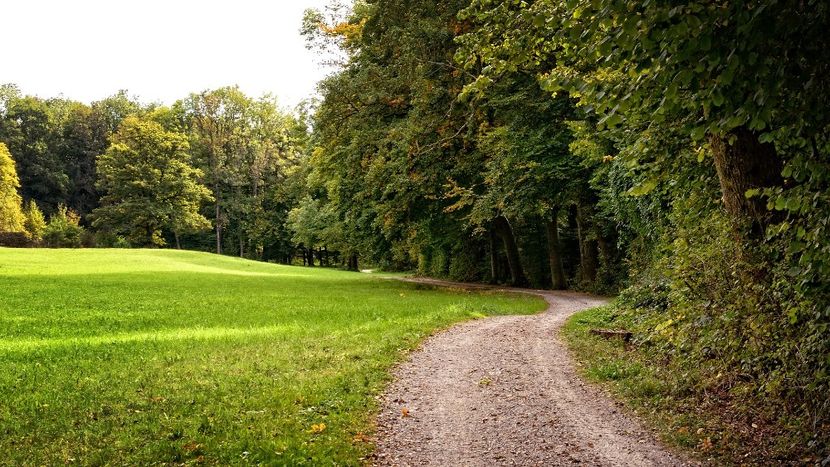 Montaj fototapet Bucuresti, ablo.ro (111) - Fototapet poze mari pentru printat ablo ro Partea I
