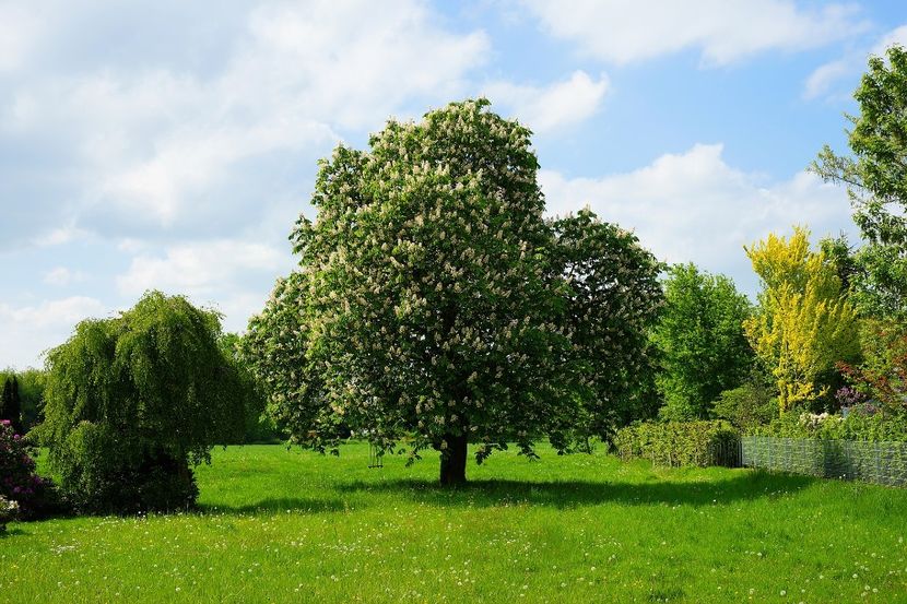 Montaj fototapet Bucuresti, ablo.ro (112) - Fototapet poze mari pentru printat ablo ro Partea I