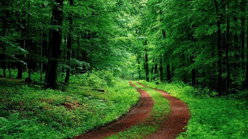 Montaj fototapet Bucuresti, ablo.ro (115) - Fototapet poze mari pentru printat ablo ro Partea I