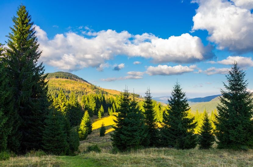 Montaj fototapet Bucuresti, ablo.ro (118) - Fototapet poze mari pentru printat ablo ro Partea I