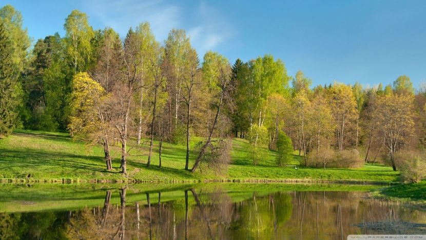 Montaj fototapet Bucuresti, ablo.ro (122) - Fototapet poze mari pentru printat ablo ro Partea I