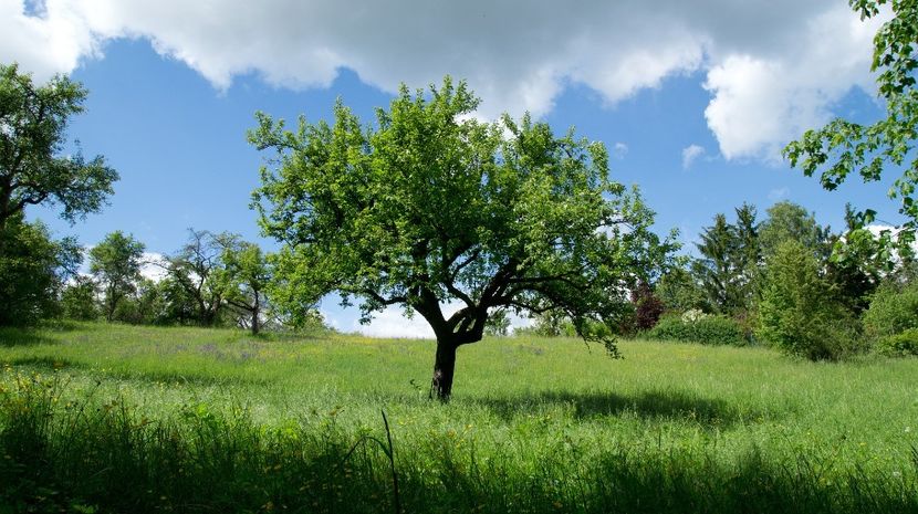 Montaj fototapet Bucuresti, ablo.ro (129) - Fototapet poze mari pentru printat ablo ro Partea I