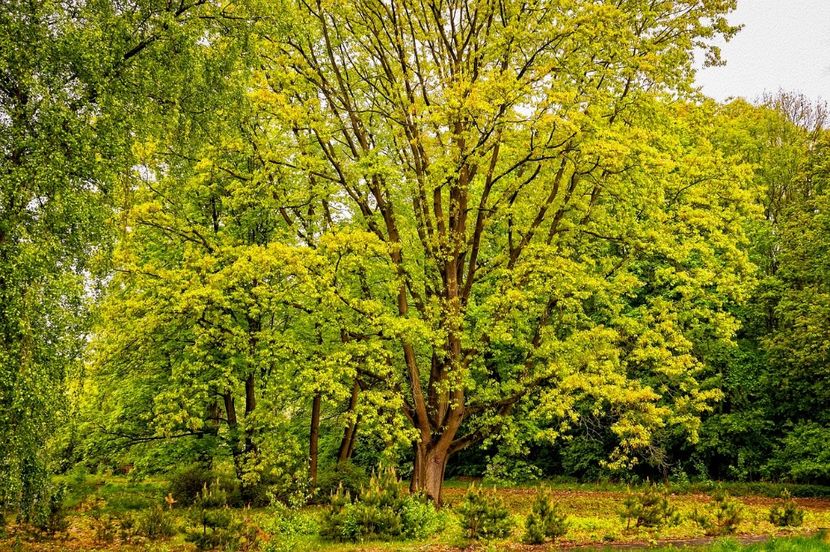 Montaj fototapet Bucuresti, ablo.ro (140) - Fototapet poze mari pentru printat ablo ro Partea I
