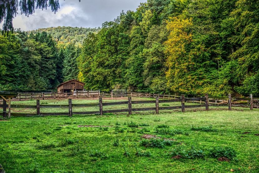 Montaj fototapet Bucuresti, ablo.ro (157) - Fototapet poze mari pentru printat ablo ro Partea I