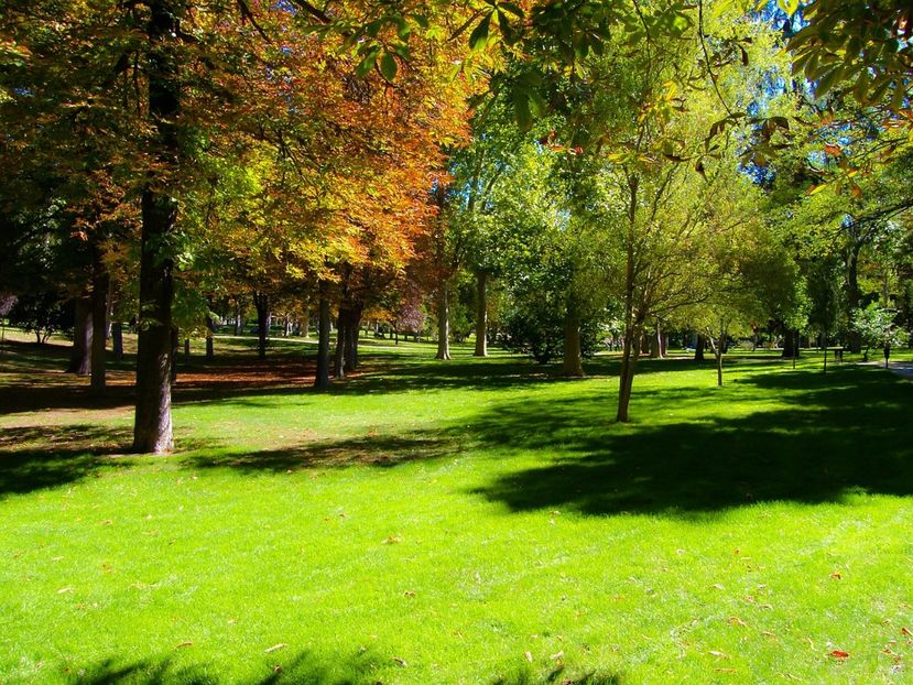 Montaj fototapet Bucuresti, ablo.ro (160) - Fototapet poze mari pentru printat ablo ro Partea I