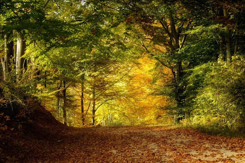 Montaj fototapet Bucuresti, ablo.ro (166) - Fototapet poze mari pentru printat ablo ro Partea I