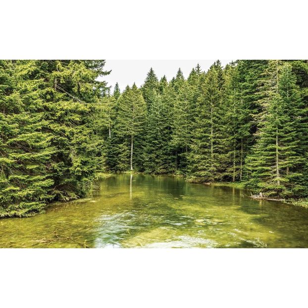 Montaj fototapet Bucuresti, ablo.ro (187) - Fototapet poze mari pentru printat ablo ro Partea I