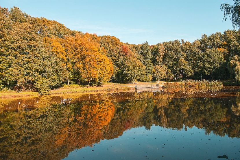 Montaj fototapet Bucuresti, ablo.ro (215) - Fototapet poze mari pentru printat ablo ro Partea I