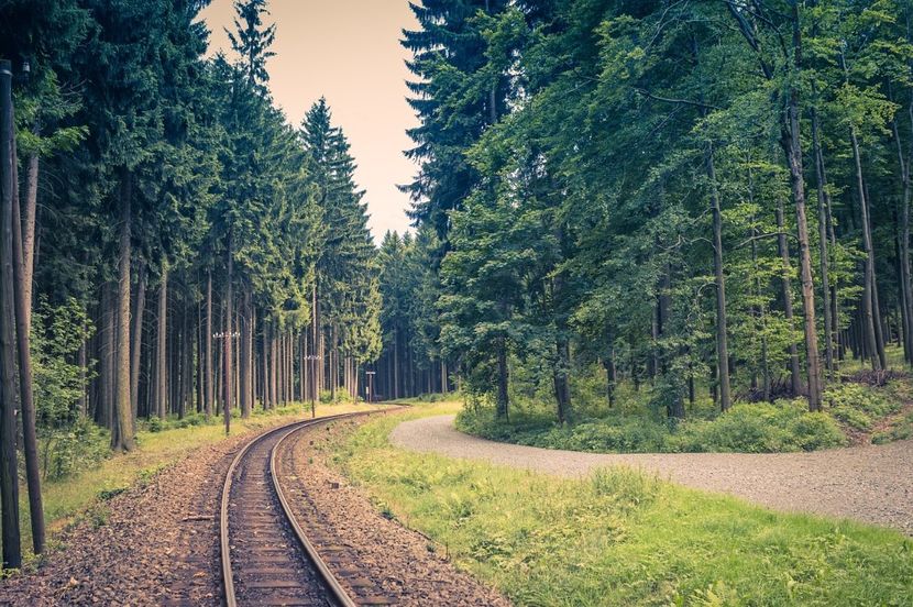 Montaj fototapet Bucuresti, ablo.ro (225) - Fototapet poze mari pentru printat ablo ro Partea I
