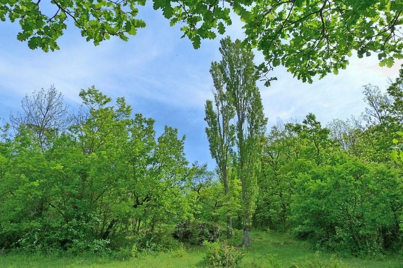 Montaj fototapet Bucuresti, ablo.ro (233) - Fototapet poze mari pentru printat ablo ro Partea I