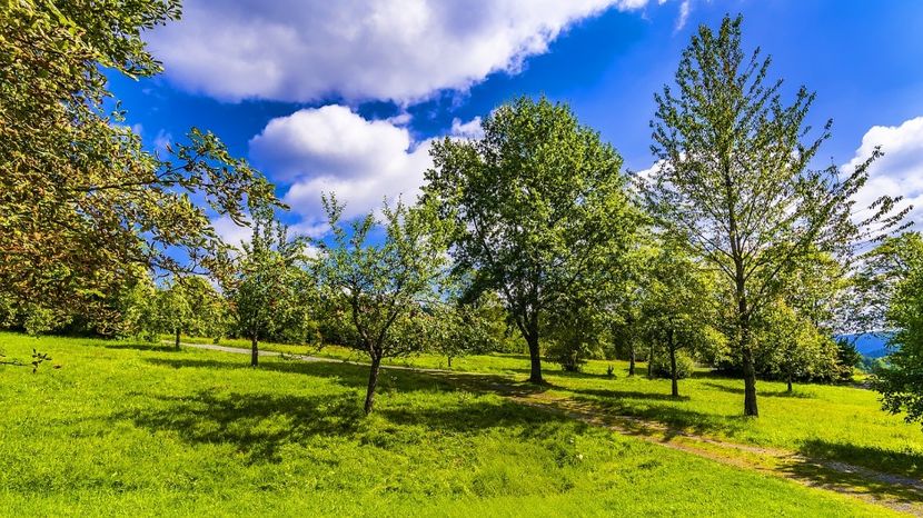 Montaj fototapet Bucuresti, ablo.ro (258) - Fototapet poze mari pentru printat ablo ro Partea I