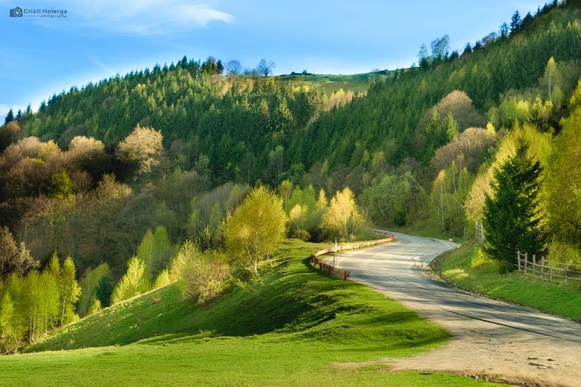 Montaj fototapet Bucuresti, ablo.ro (263) - Fototapet poze mari pentru printat ablo ro Partea I