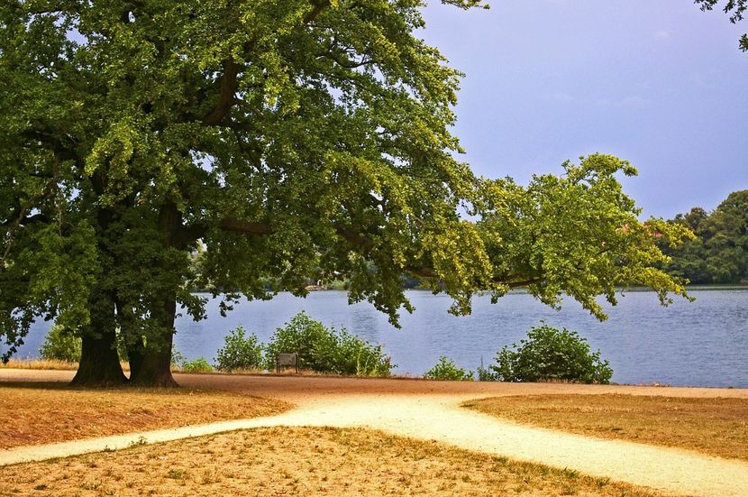 Montaj fototapet Bucuresti, ablo.ro (271) - Fototapet poze mari pentru printat ablo ro Partea I